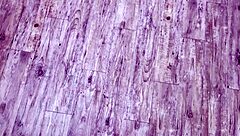 hey neighbor wanna watch me deepthroat your monster cock then creampie my pussy?