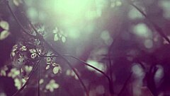 sơn t�ng m-tp official music video n�i n�y c� anh