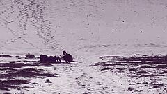 Petite Latina Bent Over For Rough Doggystyle Pounding