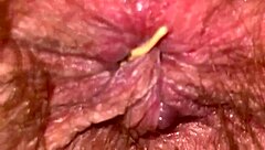 extreme close-up of throbbing big clit vagina and ass