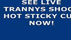 shemale strokes massive cock teasingly erupts in webcam cumshot bliss