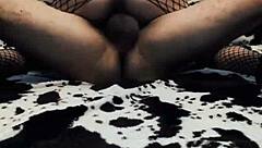 Wife Rides Cowgirl In Erotic Mesh Bodysuit Wildly!