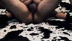 Wife Rides Cowgirl In Erotic Mesh Bodysuit Wildly!