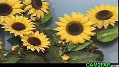 tiny titted teen tittyfucks and fucks hard