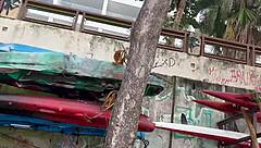 Beach Putaria Turns into Assfucking Facial for Tanned Slut!