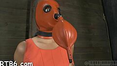 Bound Cunt Spanked In Hardcore Bondage Missionary Fuck