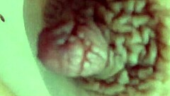 pregnant donna's swollen thick pussy begs for licking!