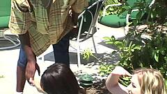 Outdoor Threesome with Shaved Pussy Anal Blowjob and Bisexual Group Fun