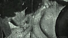 dark lantern entertainment unveils my secret vintage life story