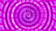 Lick Every Drop of Cum from This Black Cock Sissy!