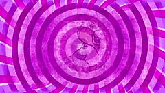 Lick Every Drop of Cum from This Black Cock Sissy!