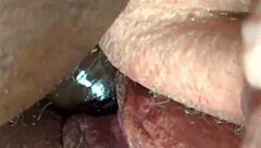 watch me finger this juicy fat ass pussy closeup before creampie pounding