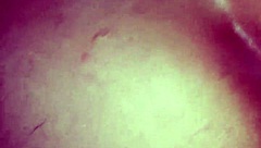 argentinian babe enjoys raw passionate sex