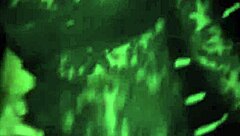 Next-Door College Sluts Beg For Mega Orgy Pounding?