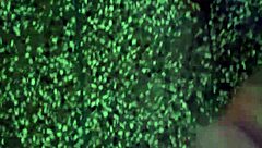 secret solo masturbation session builds to explosive orgasm climax