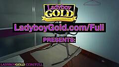 perfect amateur asian ladyboy butt stuffed with toys and hard cock