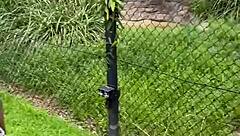 aussie hottie jade harper teases with juicy deepthroat skills