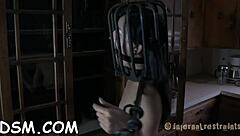 honey receives suggestive cock shovelling with toys and bdsm elements