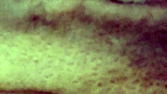 Angelg and Kuzz share their pure amateur homemade moments