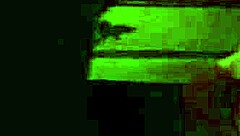 blowjob sucking cock oral action