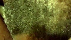 Only in a dream, or is it real?