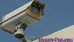 buff tranny riding cock, want to see more?