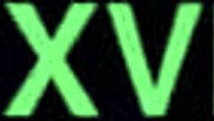 Ebony amateur bent over in doggystyle pussy fucking with black partner