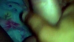 Bold Brazilian Adventures In The Land Of Brasil