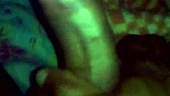 Bold Brazilian Adventures In The Land Of Brasil