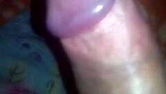 Bold Brazilian Adventures In The Land Of Brasil