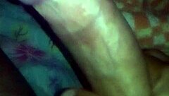 Bold Brazilian Adventures In The Land Of Brasil