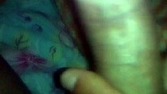 Bold Brazilian Adventures In The Land Of Brasil