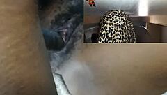 side hoe adventures with milfs in usa