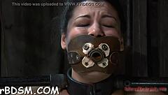 The delicious brunette slave rides her huge sex toy while giving a blowjob in bdsm session