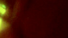 homemade amateur video captures everyday life moments