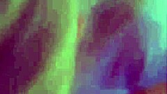 tiny blonde sucked dick in miami airbnb last weekend 😏