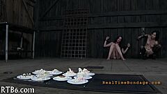 Four Beauties Explore the Tiny Cage Adventure