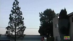 Brunette with big tits intensely sucks and rides cock