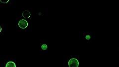 Valentina Nappi And Anna Deville Engage In Intense Fucking With Monster Cock In Hotel Room, Reaching Orgasm