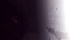 gloryhole fun with big booty ebony african american sucking juicy pussy