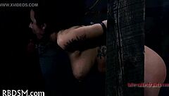 Check out this bizarre sadomasochism tube video! 😈