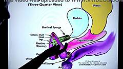 Watch this pretty latina amateur explain how to squirt juicy trimmed pussy in homemade video