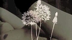 Oh, step mom, your hairy pussy in this vintage London taboo!