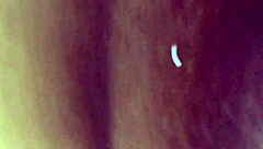 i fucked my wife with a vibrator in our hotel room