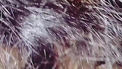 You Wanted Me To Suck Your Cock So Now Endure It My Love Pt2