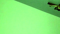 Redhead shakes her big ass intensely