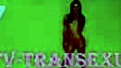 A hot shemale in the hotel room