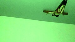 Redhead shakes her big ass intensely