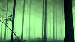 halloween outdoor forest costume fun