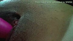 anggie luna latina teen squirts during play